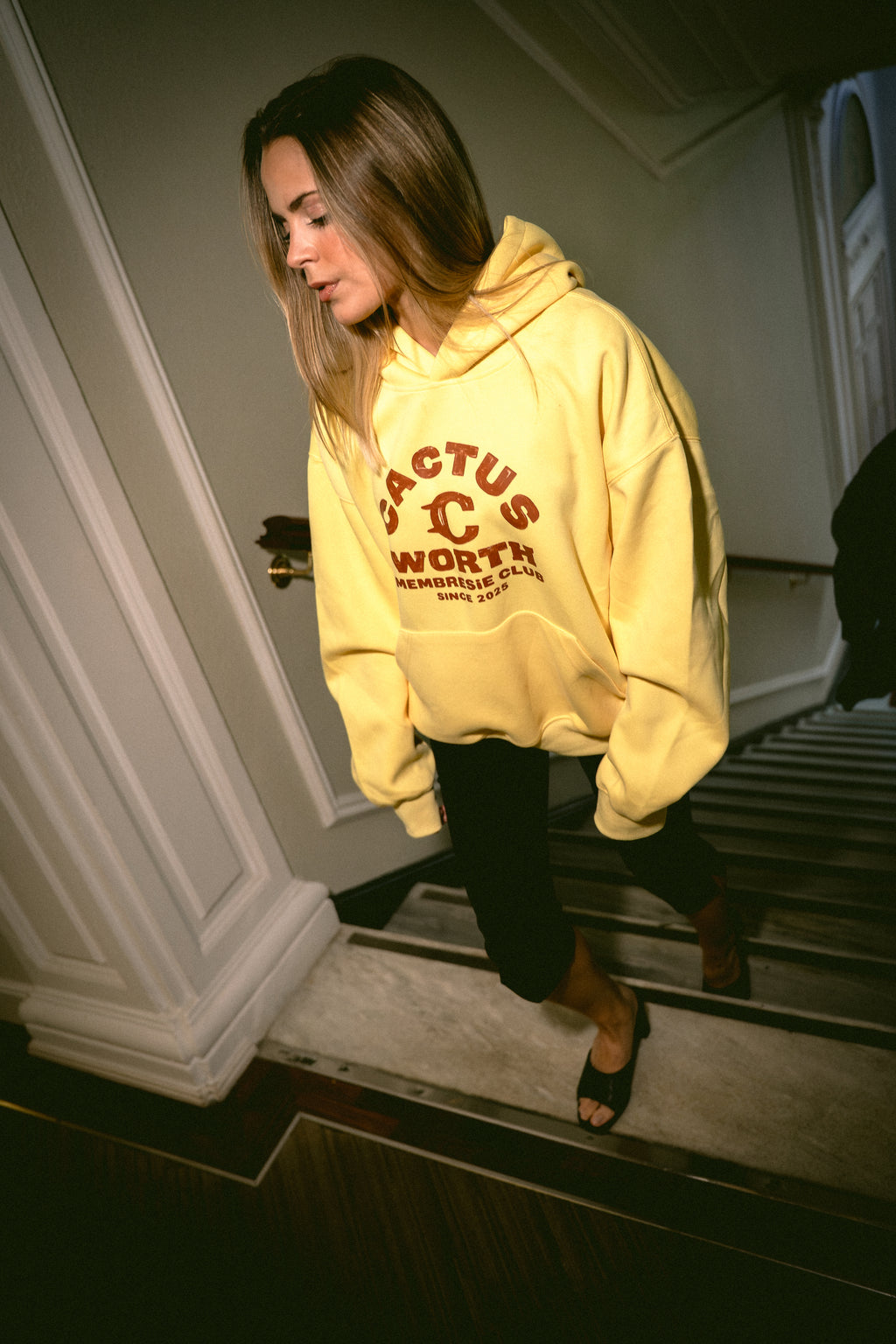 MAC HOODIE